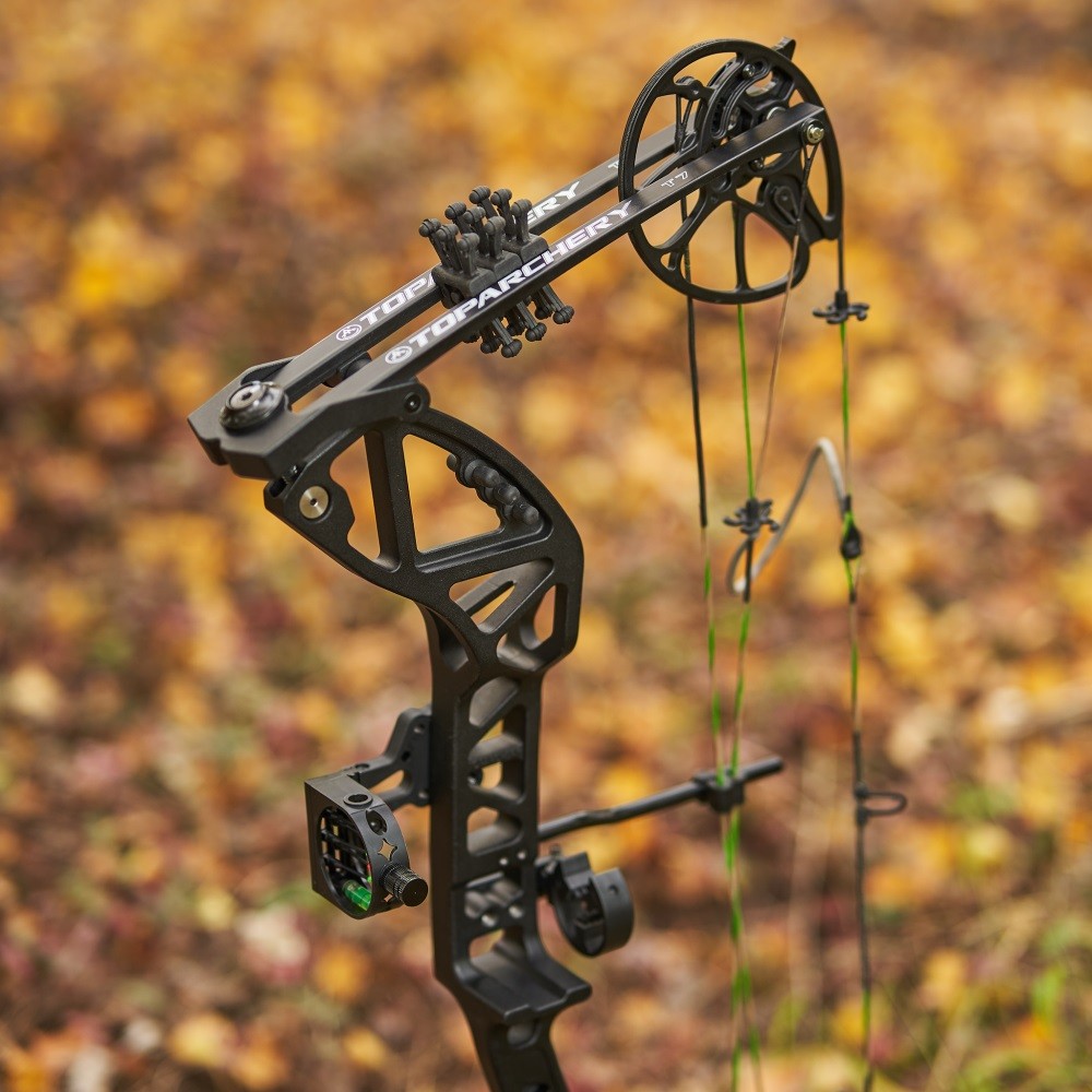 Compound Bow 30-70lbs Adjustable Archery Bow Carbon Arrows Hunting Shoot Target