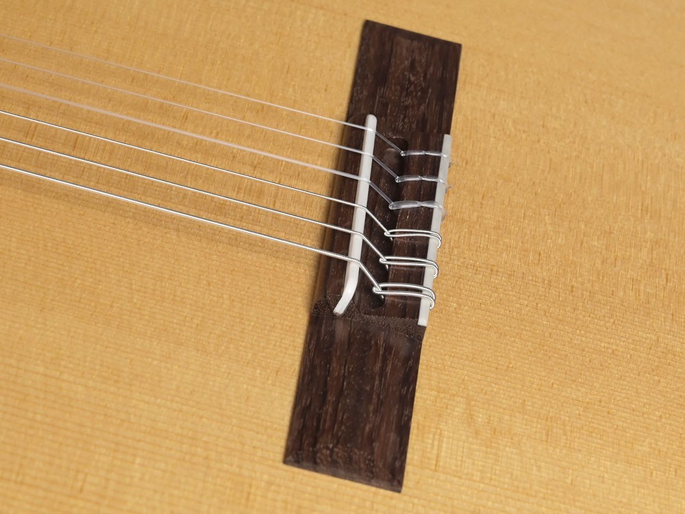 Hanika Jahresmodell 2024