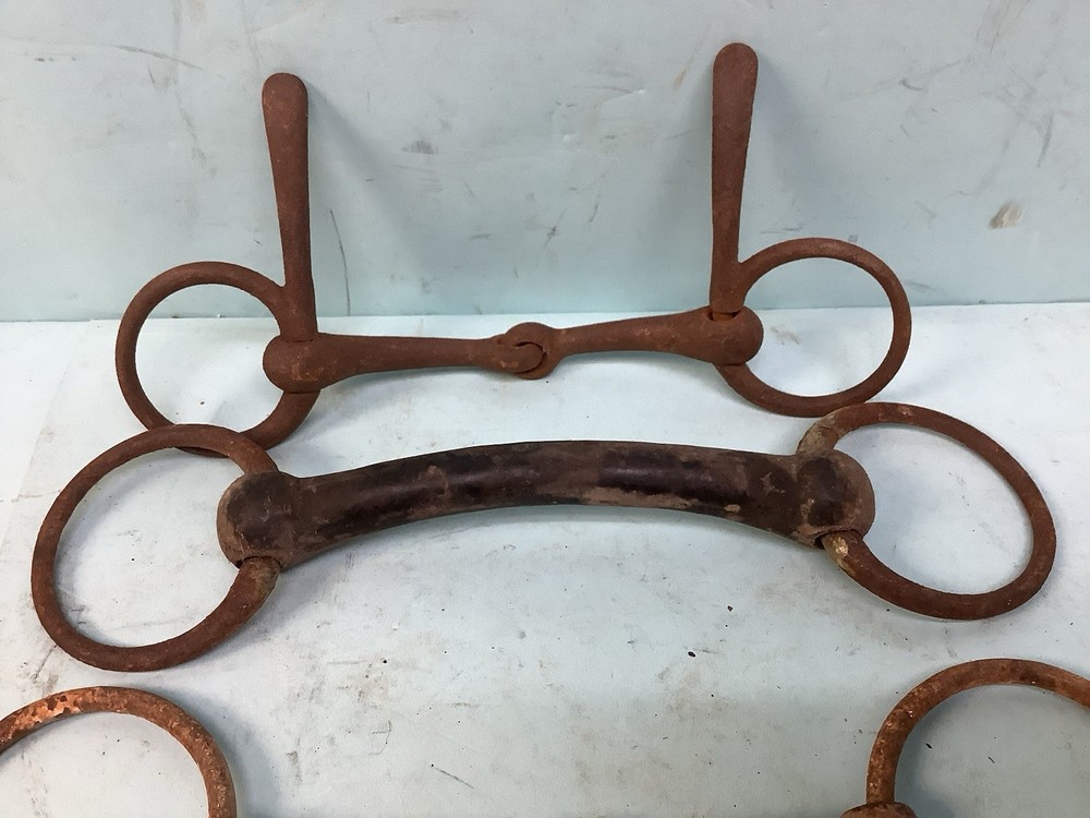 Antique Horse Bits (6)
