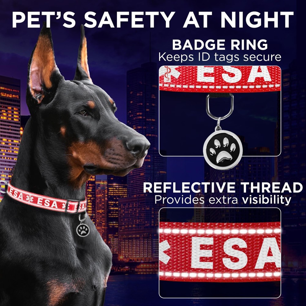 TECEUM Reflective Pet Collar – Red - ESA – M – Extra Soft Medium, -