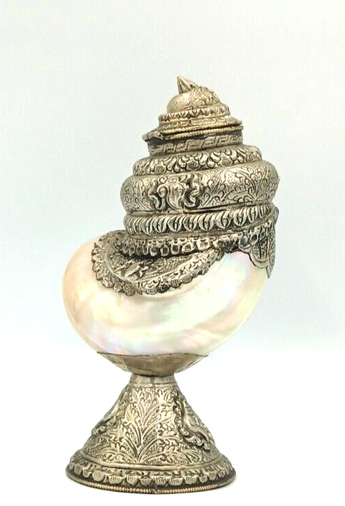 Antique Anglo Indian Silver Nautilus SIGNED Shell Cup