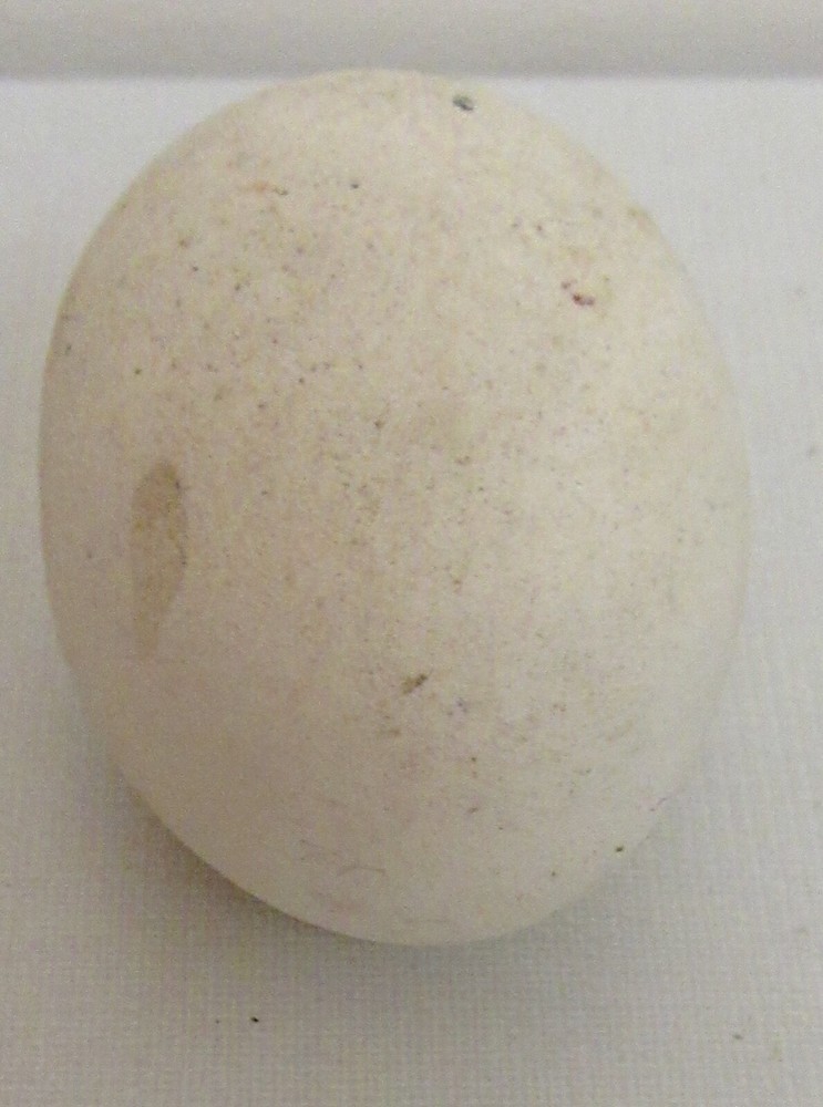 Ceramic White Bisque Unpainted Plain Easter Egg w/ Hole 2.75"