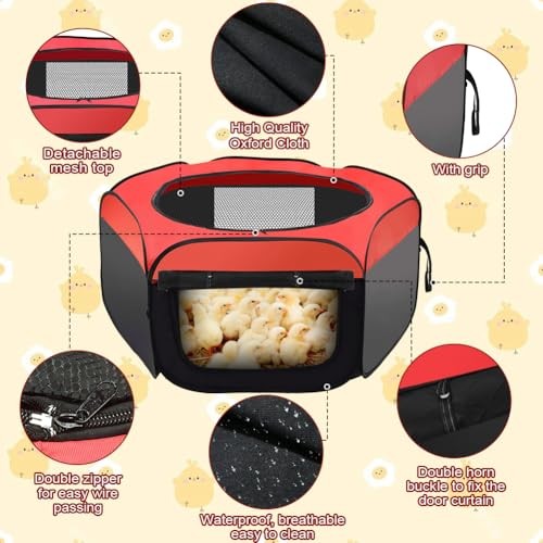 Chicken Brooder Box for Chick Starter Kit， 2026 Upgrade Double Door Chick