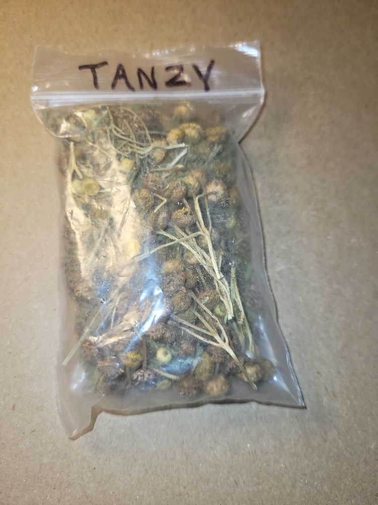 Tanzy Magick Medicinal