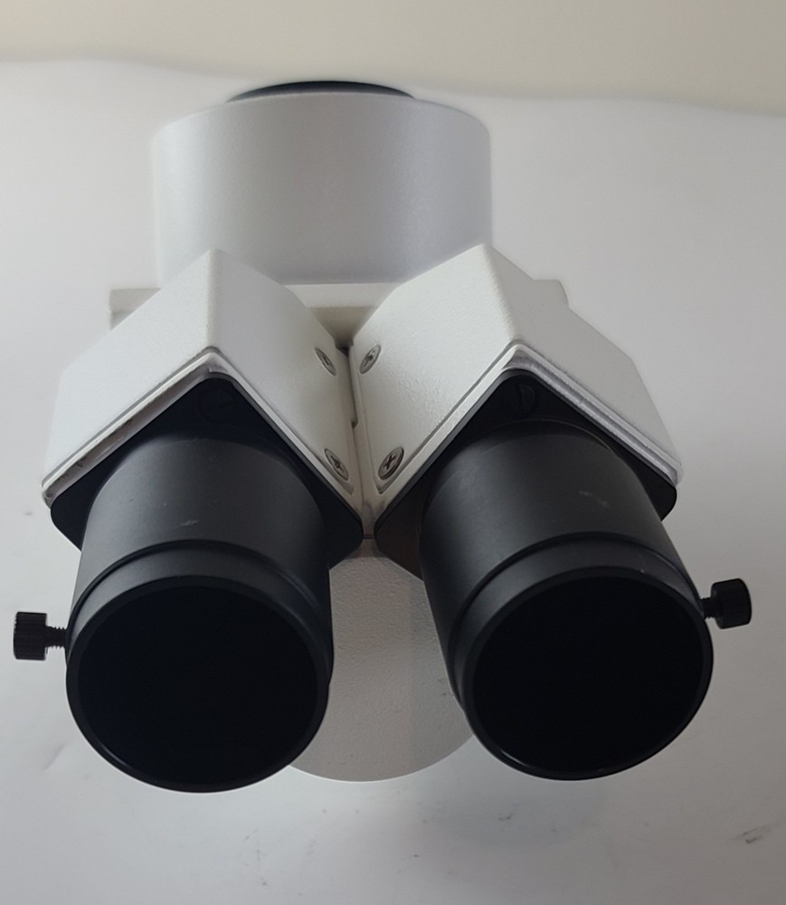 Binocular Microscope Head For Labomed Microscope