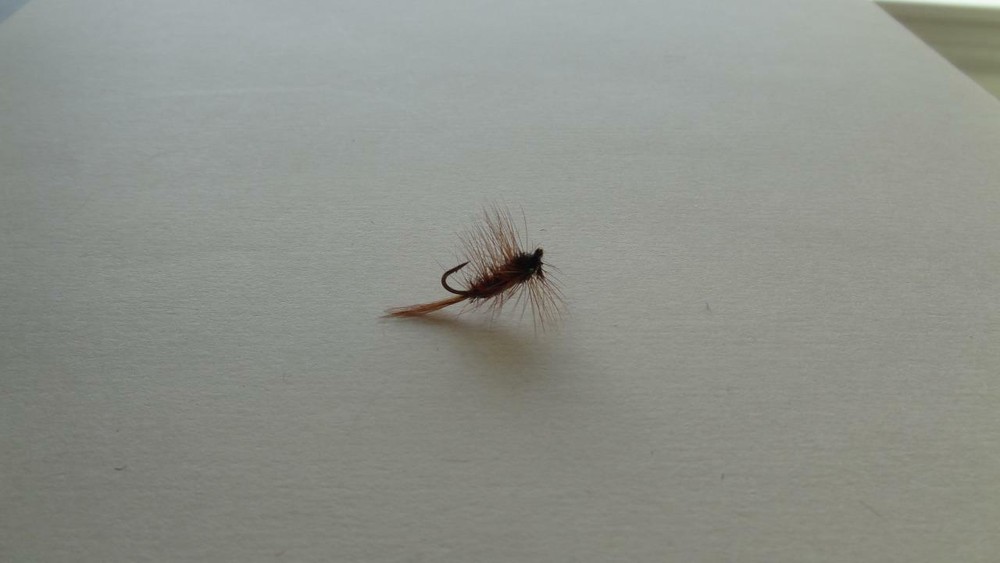 1 DOZ DF-5 HALFBACK (SELECT YOUR SIZE) DRY FLY