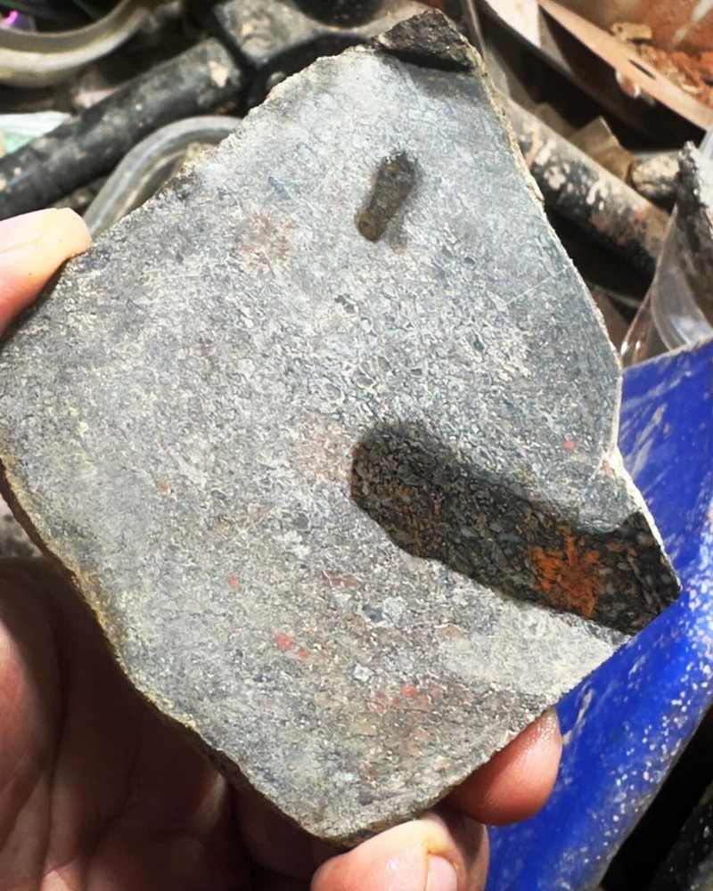 Dinosaur bone rough slab.