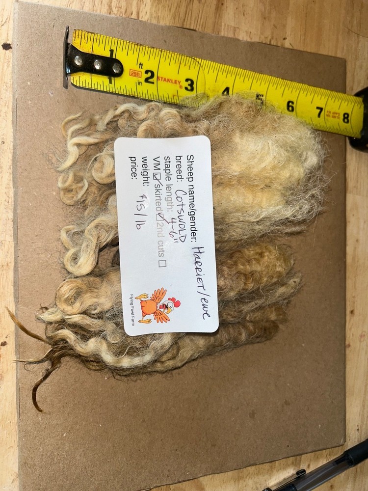 Cotswold fleece, raw wool