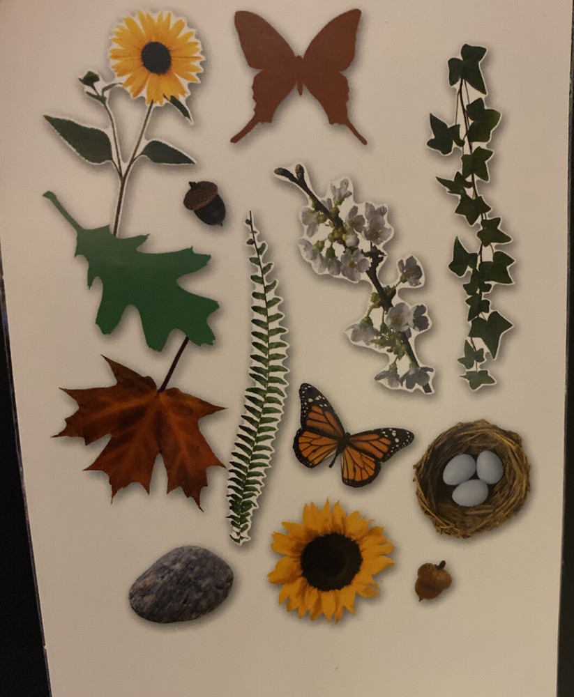 Assorted Large Black Butterfly Paper Die Cuts Craft Scrapbook Card Making