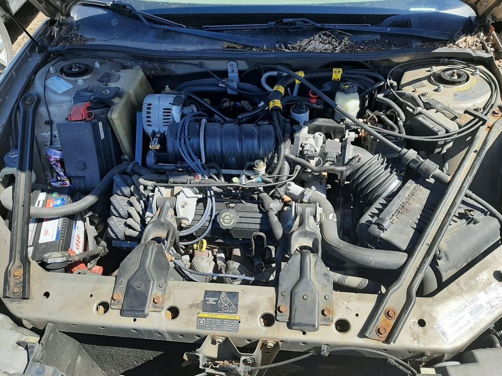 REGAL 2002 High Mounted Stop Light 935836