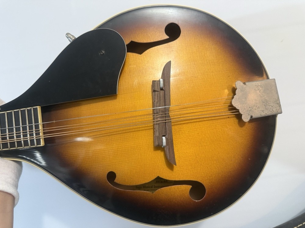 Kentucky KM-150S Mandolin Sunburst with soft case