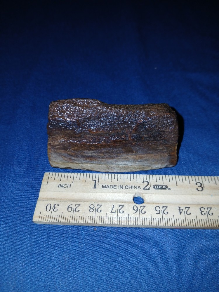 3.6 oz Texas Petrified Wood