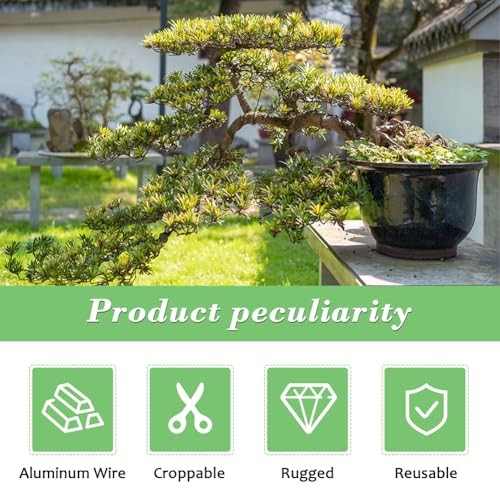 Tree Training Wire Kit - 5 Rolls (164ft),Bonsai Training Wires with Wire