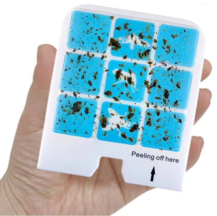 Indoor fly trap device with blue light, includes 6 devices and 8 refills, catche