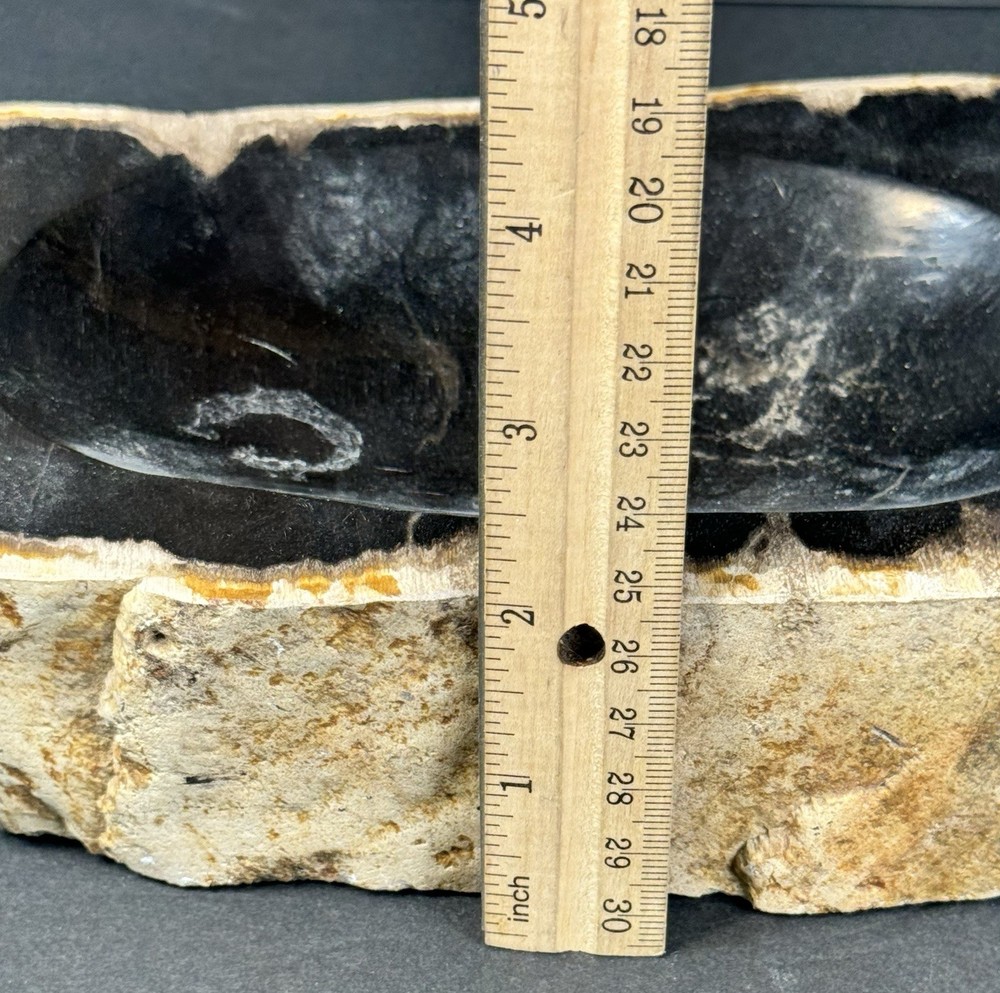 PETRIFIED WOOD Trinket Dish