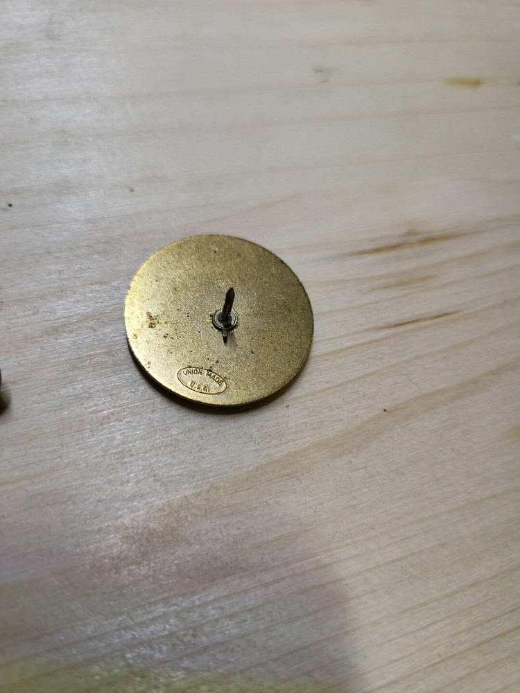 Vintage Pin - Nub Va 1 2000 - Really Cool