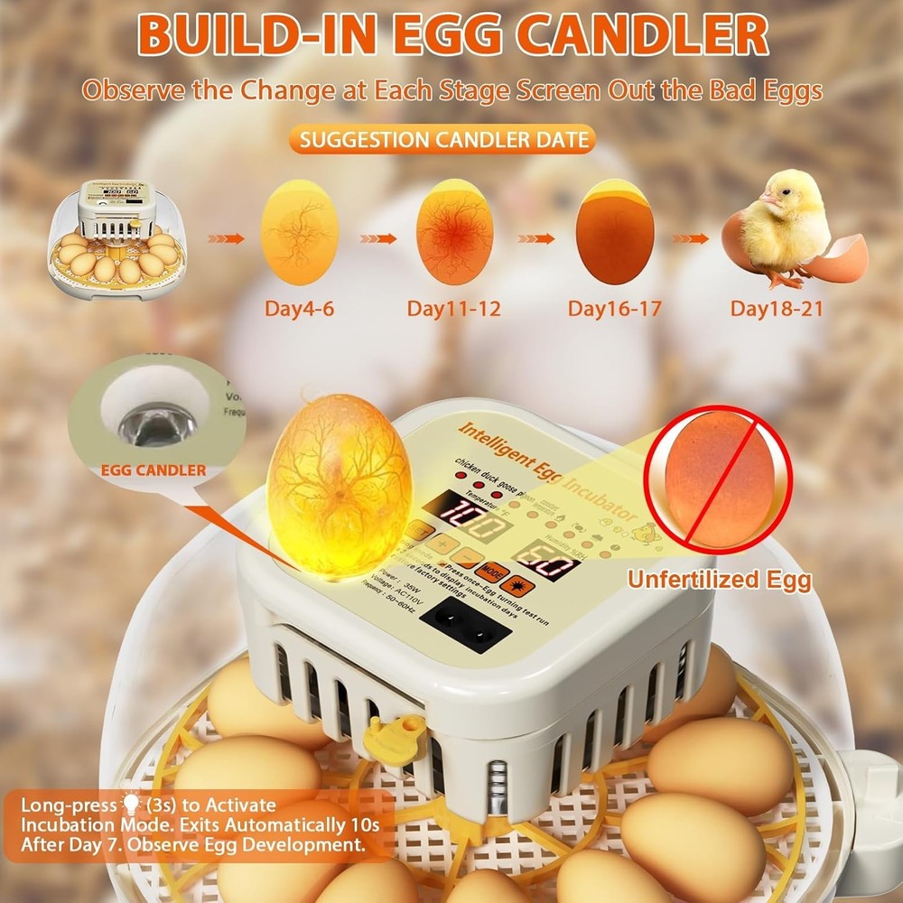 12 Egg Incubator with Auto Egg Turning Humidity & Temperature Control