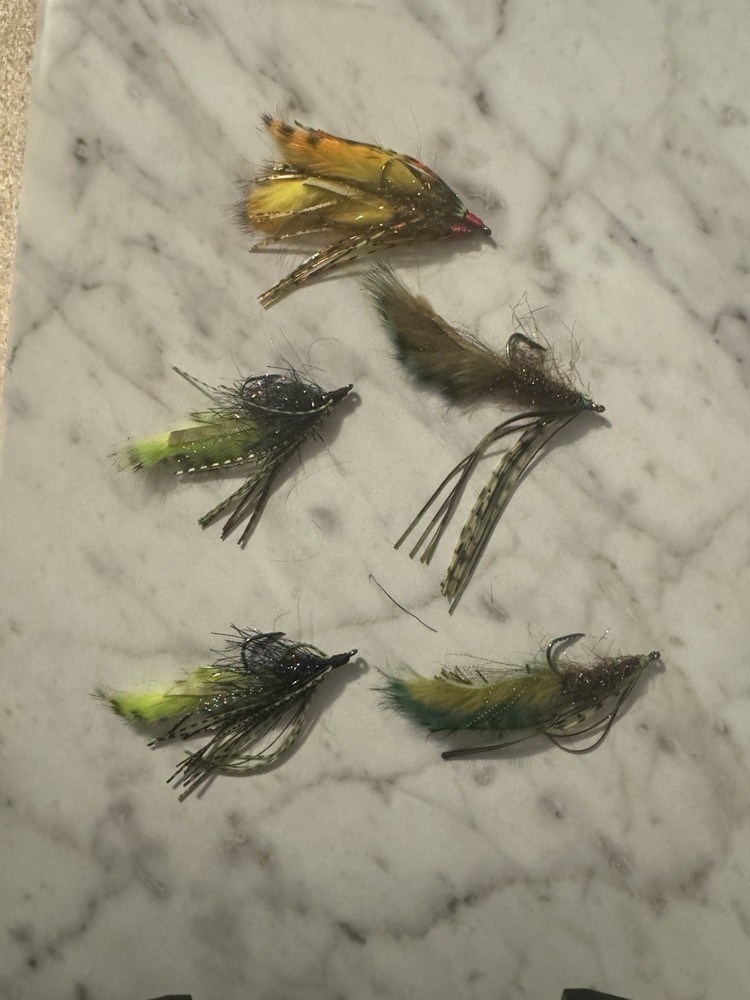 Fishing Fly Box With Various Flies