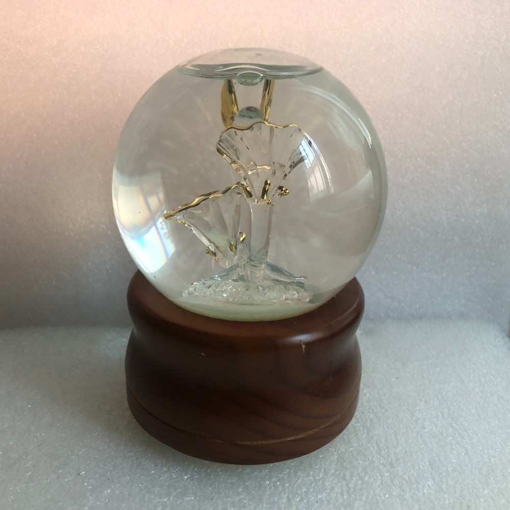 Snow Globe Hummingbird Music Box Water-Globe Bird