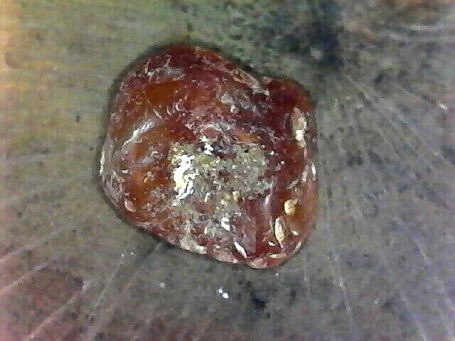 WATERFALL POND JASPER TYPE SPECIMEN'S #SJ010  NORTH WEST PACIFIC COAST AREA