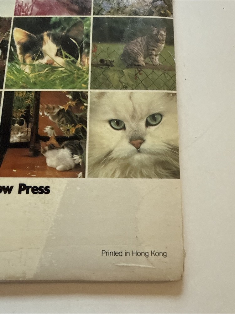 cats And Kittens 1986 Mini Calendar
