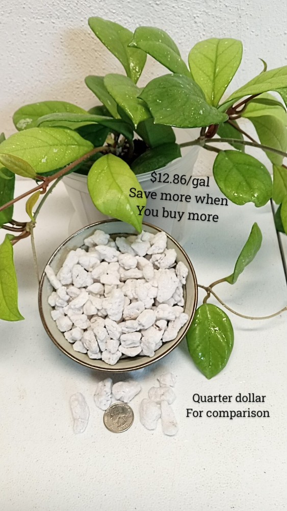 1 gal Horticultural extra course chunky Perlite grade 4 #4 size 4 large perlite