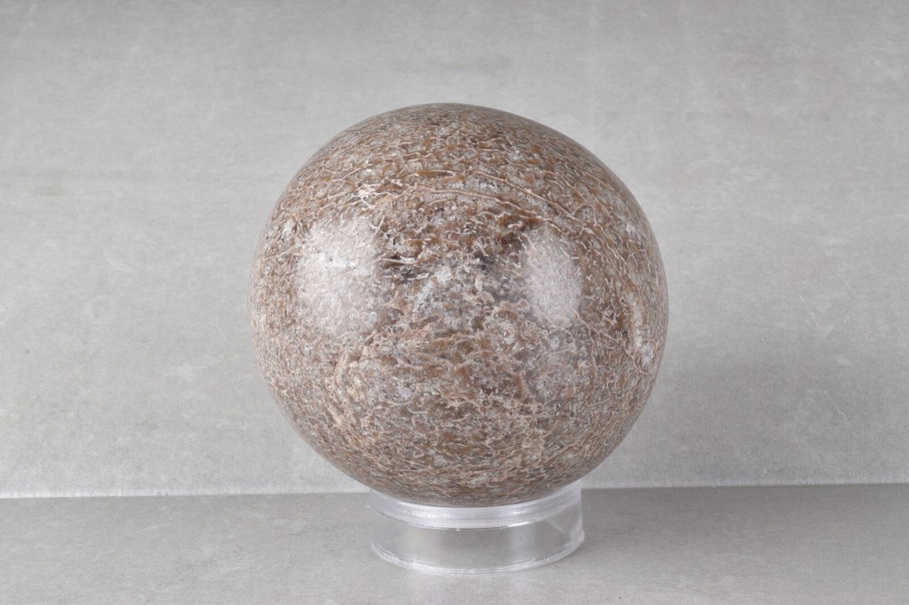 Large Dinosaur Bone Sphere from Morocco 7.7 cm # 21479