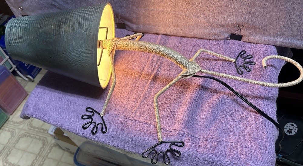 Gecko Wall Lamp Green Shade Eangee Home Design