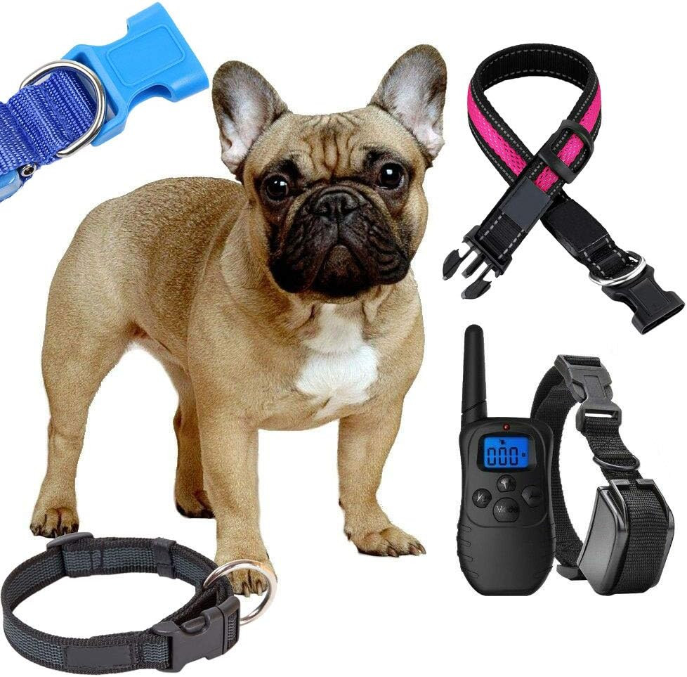 5 Pack 3/4" Side Release Buckle Dual Adjustable 5 Yards 3/4" PP Strap Webbing Ou