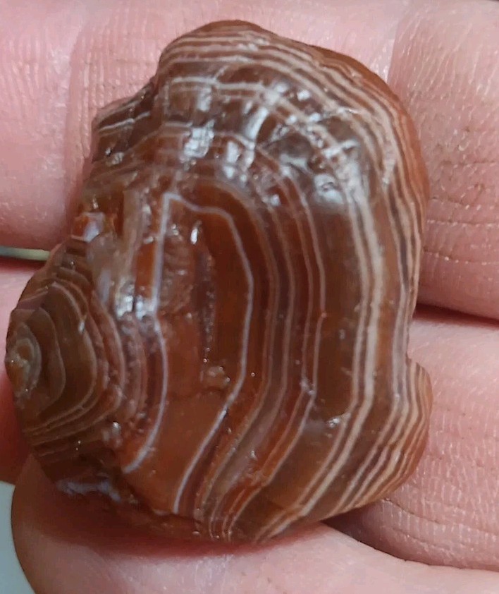 Lake Superior Agate, Solid Banding .92oz