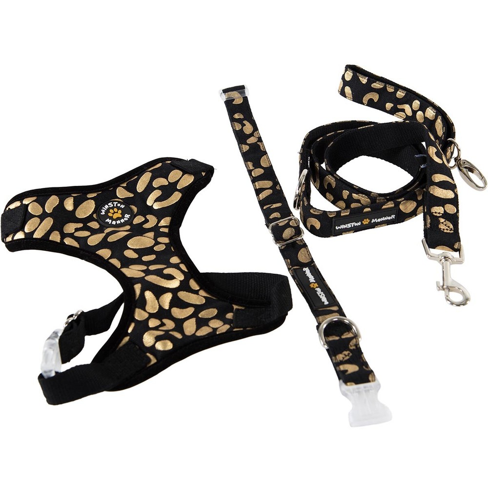 Medium Disco Dog Black & Gold Dog Collar
