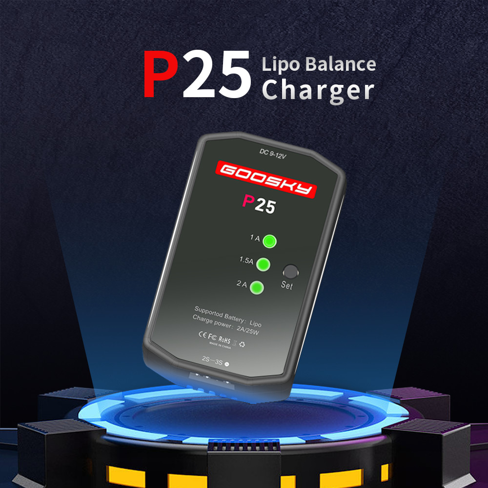 Goosky P25 2-3S Charger