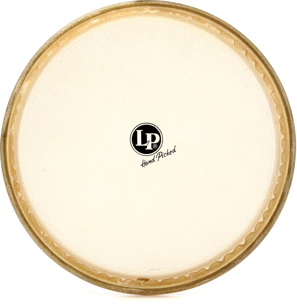 Latin Percussion Rawhide Conga Head - 11-3/4" - Conga