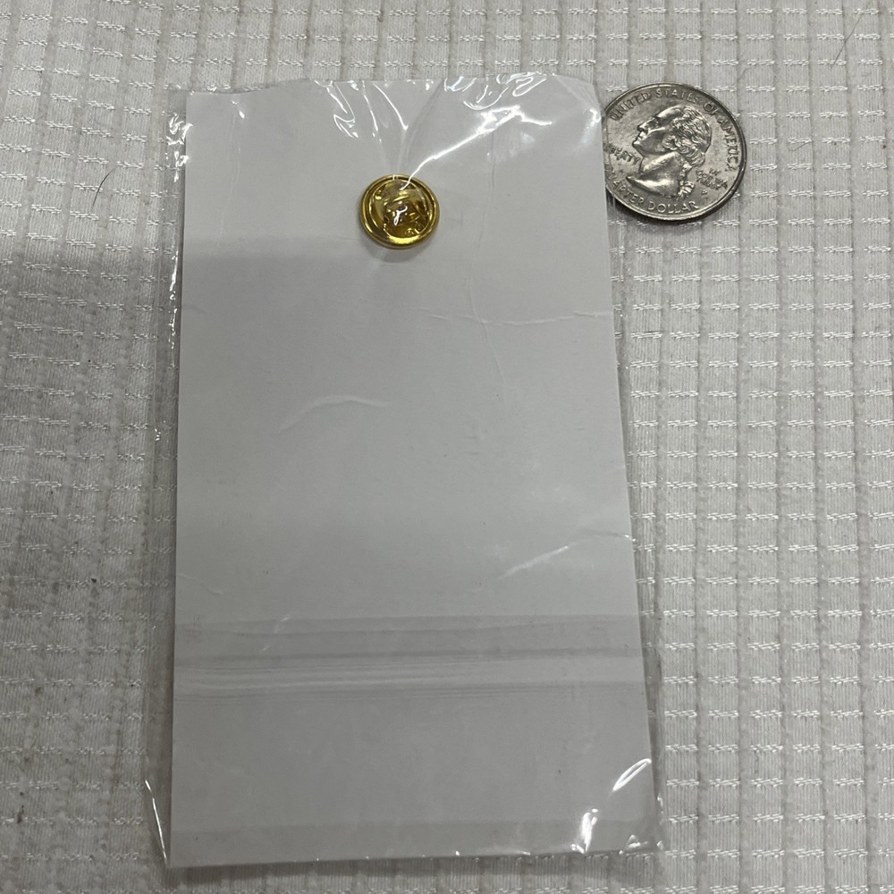 NEW VA Caregiver Support Program Pin Brooch