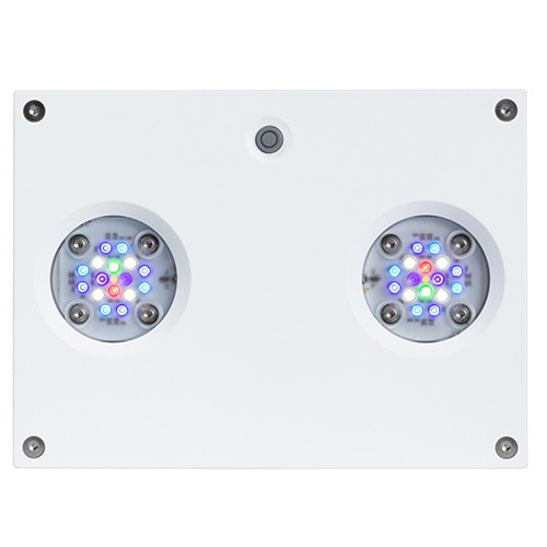 AI Hydra 32 HD LED Module - White