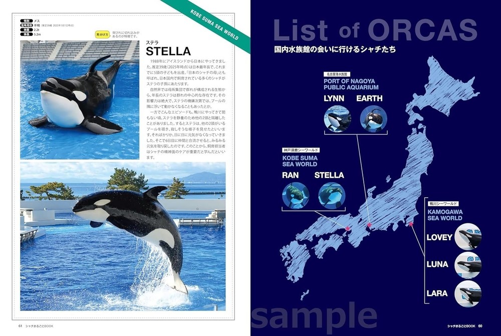 The Complete Orca Book Japanese Book