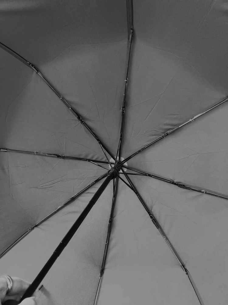 Compact Auto Open Close Mini Umbrella, Auto open and close umbrella