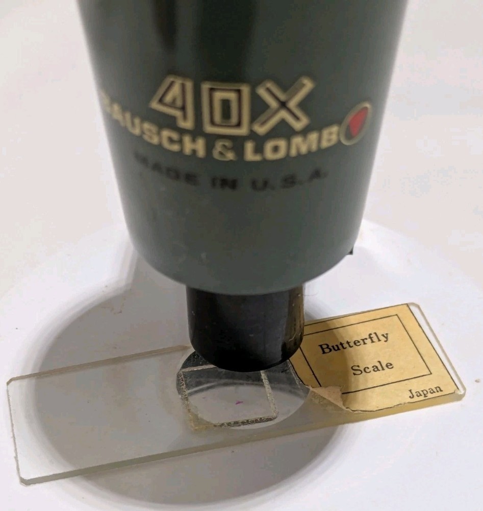 Bausch & Lomb 40x Microscope