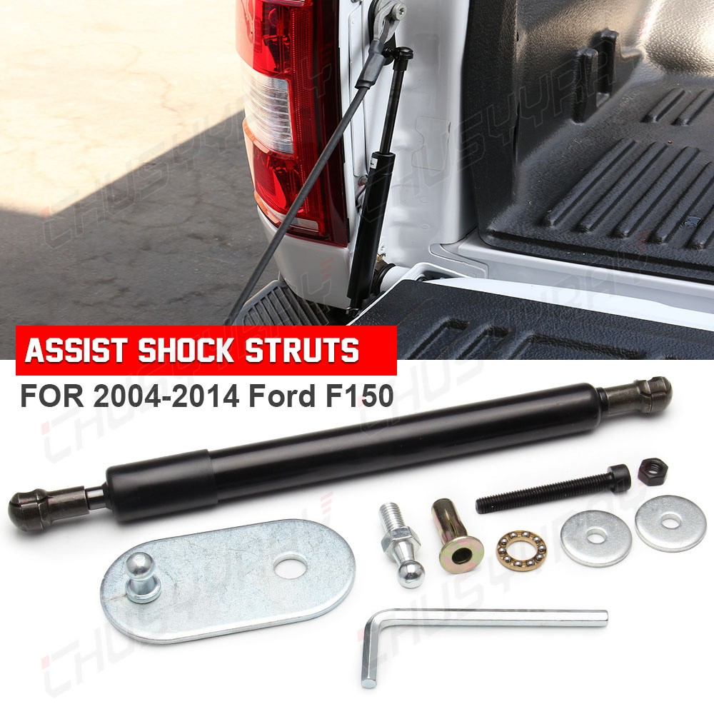 CHUSYYRAY DZ43200 Tailgate Assist Shock For Ford