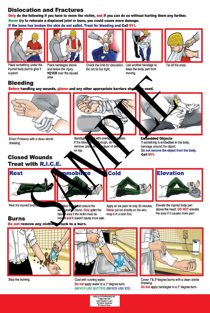 50 First Aid Reference Charts with Personalized Imprinting