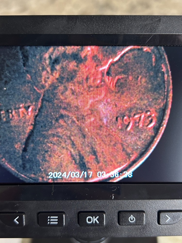 1973 Lincoln Penny No Mint Mark "buffalo?" Error