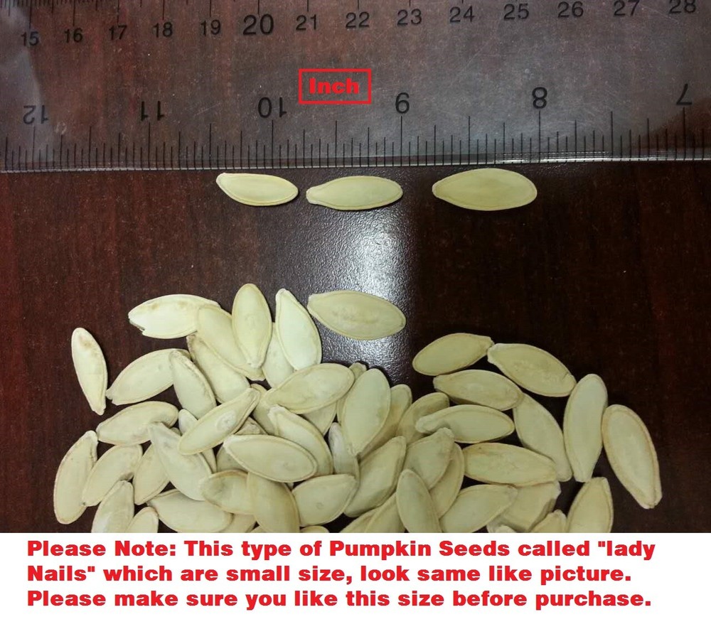 3 lbs ROASTED PUMPKIN SEEDS (Lady Nails) IN SHELL ROASTED SALTED