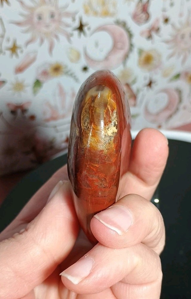 Petrified Wood Heart