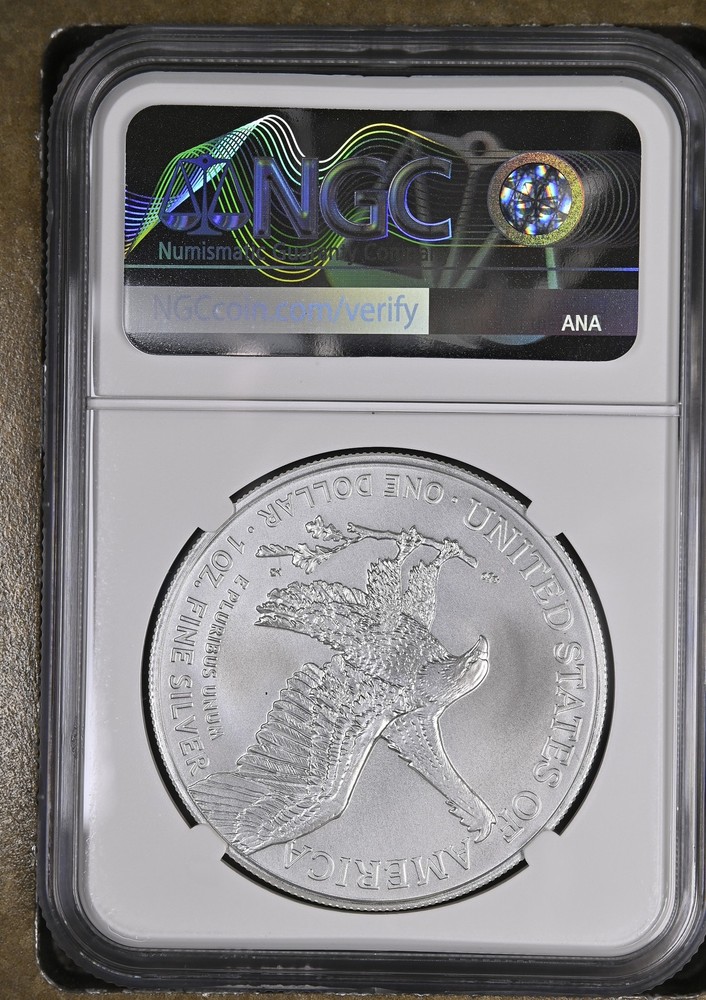 2022 Bullion Silver Eagles NGC MS-70