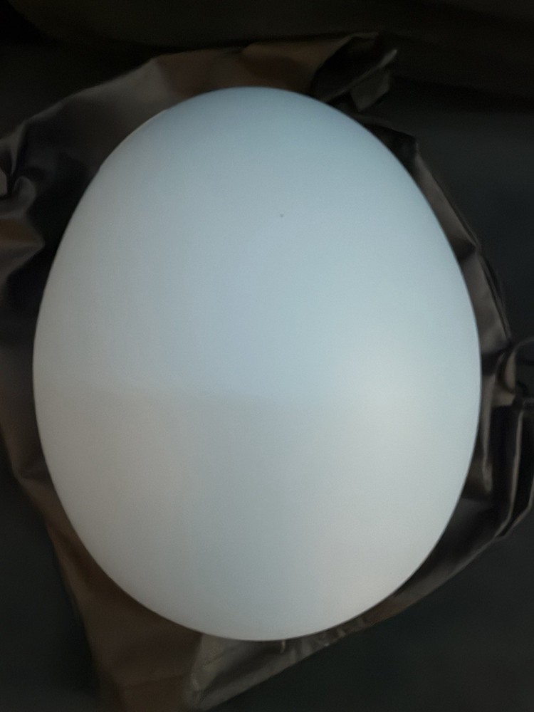 smith method pro mips helmet