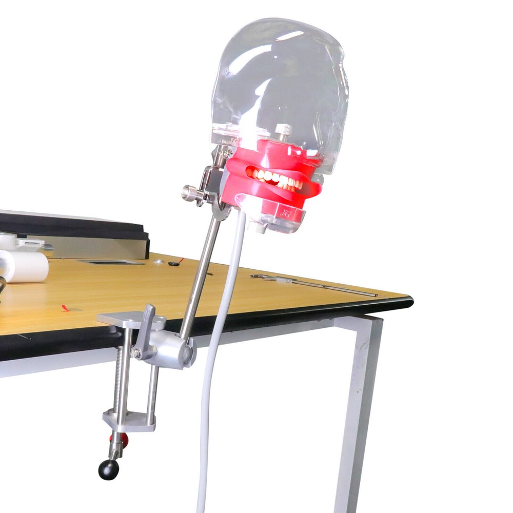 Dental Manikin Simulator Phantom Head Typodont for Dentist Student Training