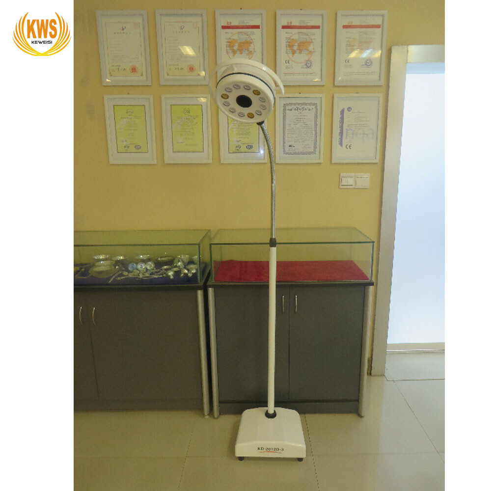 12 Holes 36W LED Mobile Shadowless Surgical Light Veterinary Examination Light