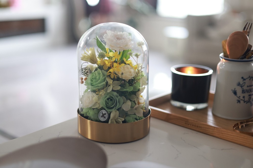 preserved flowers&Home decor&holiday gift