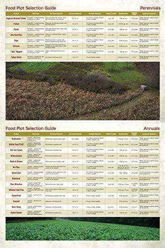 Whitetail Institute Imperial Clover Food Plot Seed (Spring and Fall Planting),