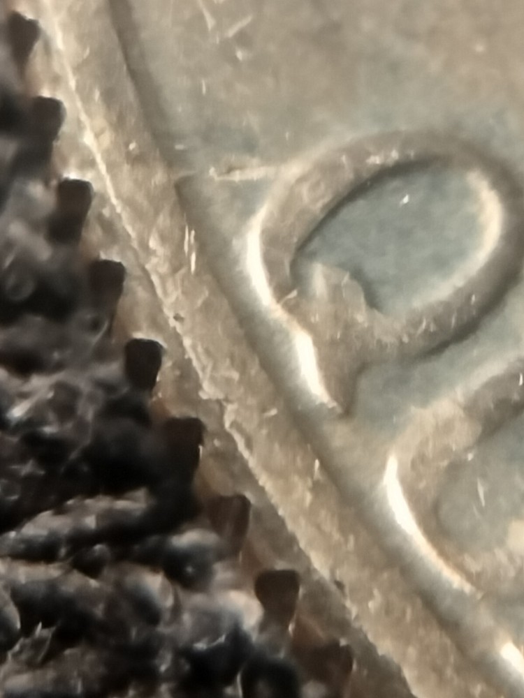 1776-1976 P Bicentennial Quarter MAD Light Die Clash Struck Thru Error